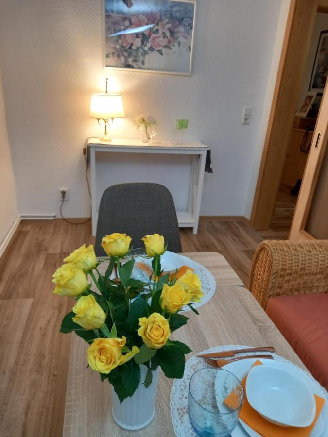Pine Crest Ferienwohnung Harzgerode Zewnętrze zdjęcie
