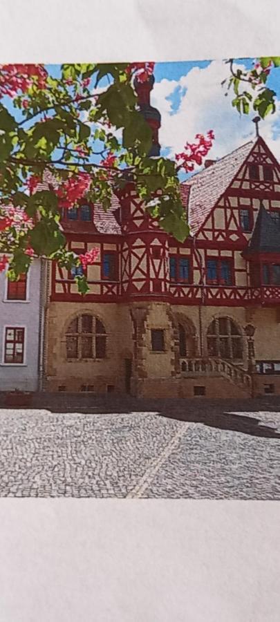 Pine Crest Ferienwohnung Harzgerode Zewnętrze zdjęcie